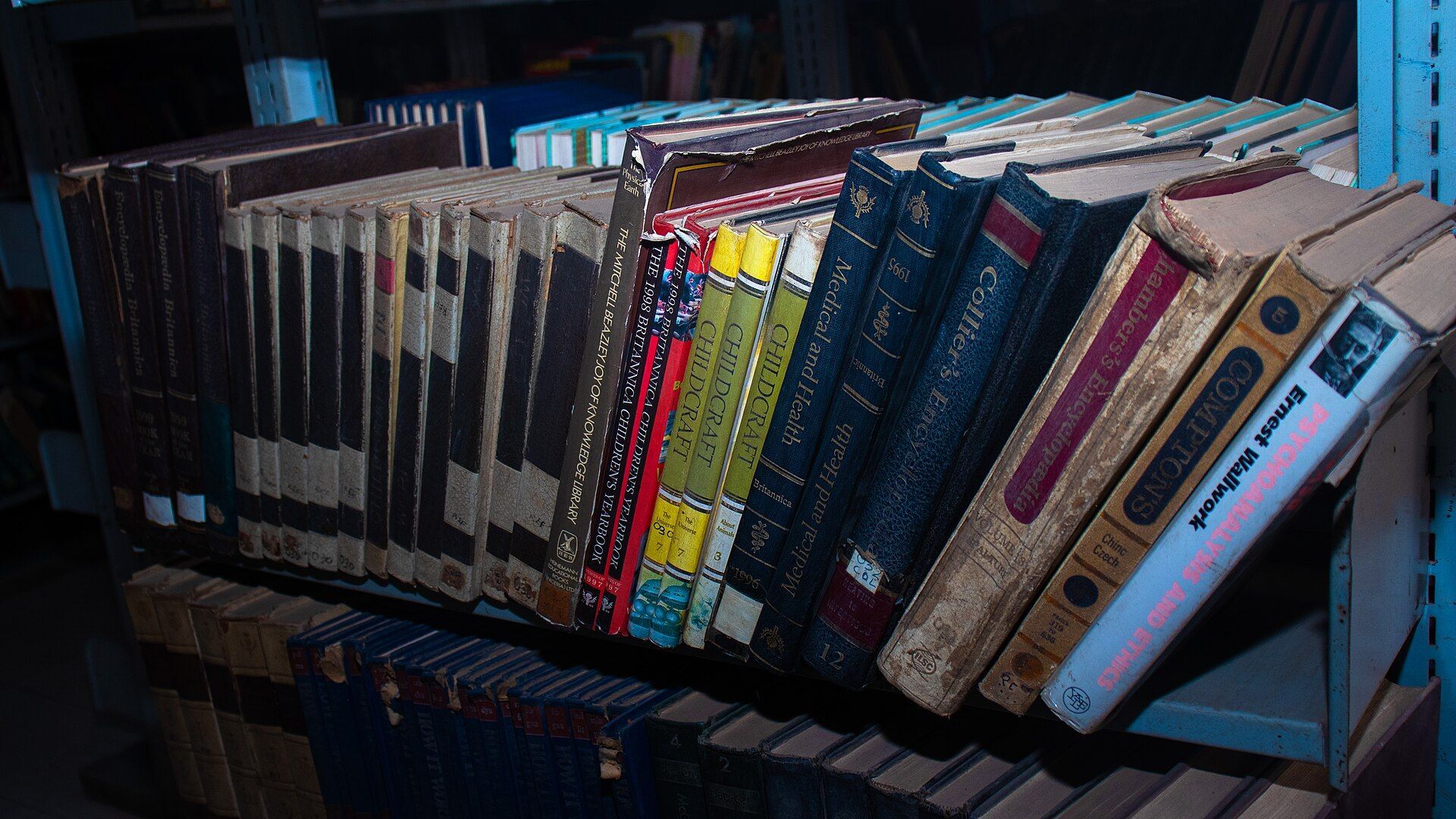 Rows of reference books on a library shelf.