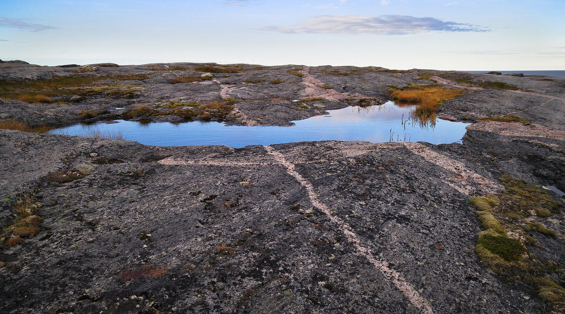 Bare Canadian Shield rock with a pool of water near James Bay, Quebec.