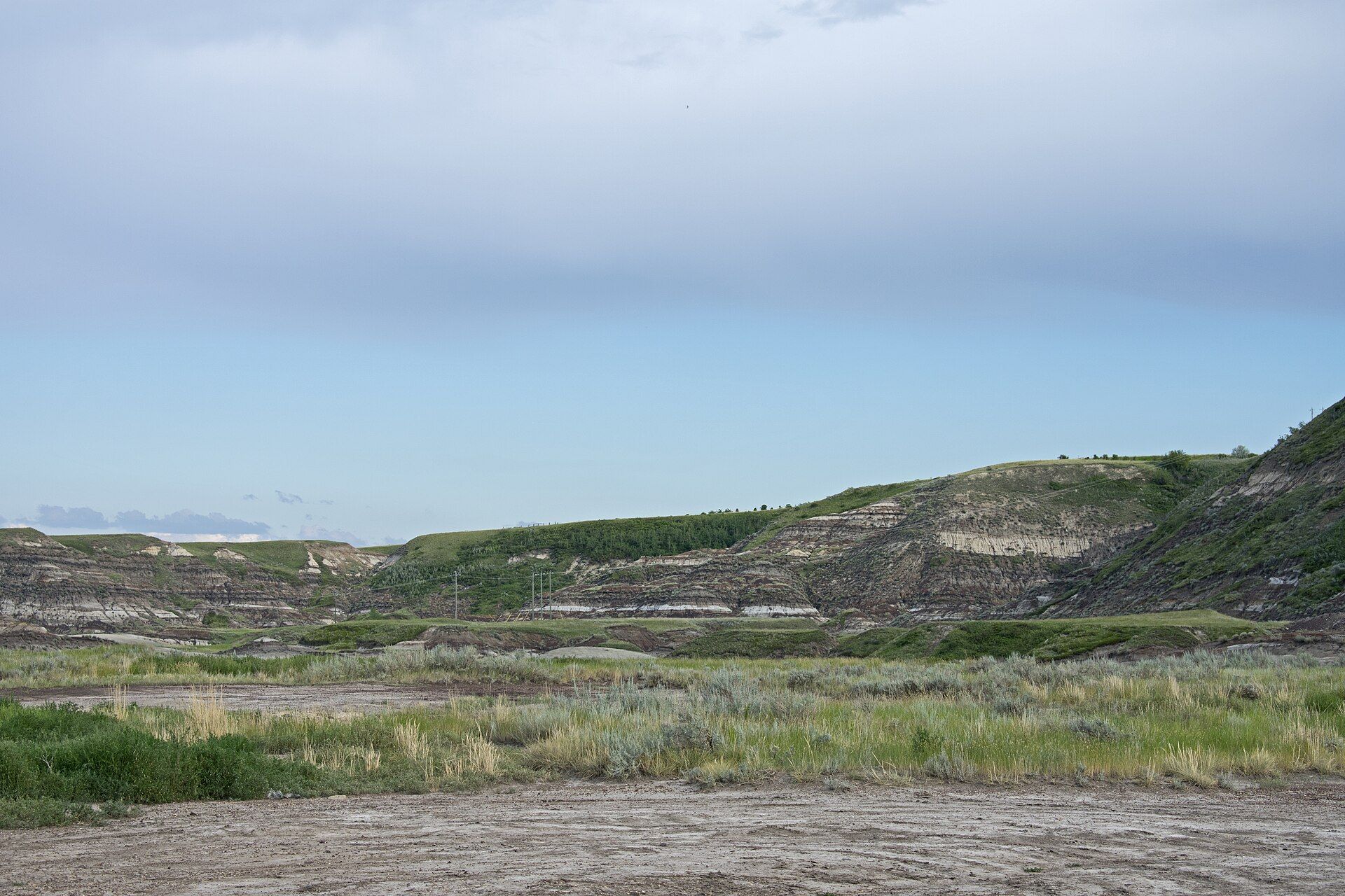 Badlands hills and grassland west of Drumheller, Alberta.