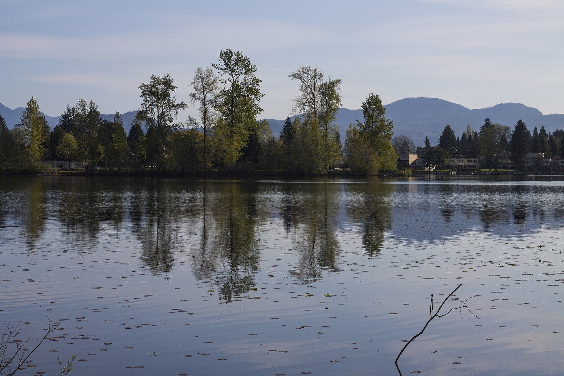 Mill Lake in Abbotsford, British Columbia, with trees reflected in the water.